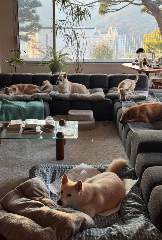 0ab35bfb345feca494c3fa0dbbf1352b_1763183562_8647.jpg 0ab35bfb345feca494c3fa0dbbf1352b_1763183562_8647.jpg