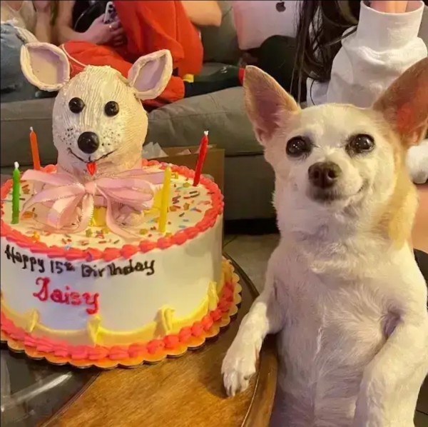 8ce295a189c47c547135313ed45a537a_1763802361_3756.jpg 8ce295a189c47c547135313ed45a537a_1763802361_3756.jpg