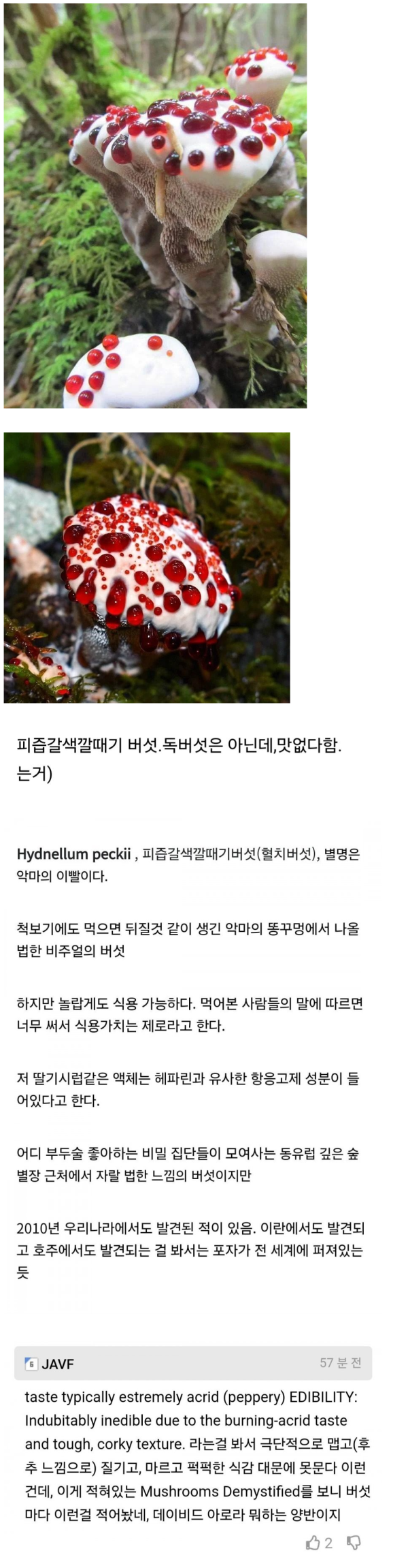 01a115b2d8ebdef164673d31415e6e2d_1769687815_0397.png 01a115b2d8ebdef164673d31415e6e2d_1769687815_0397.png