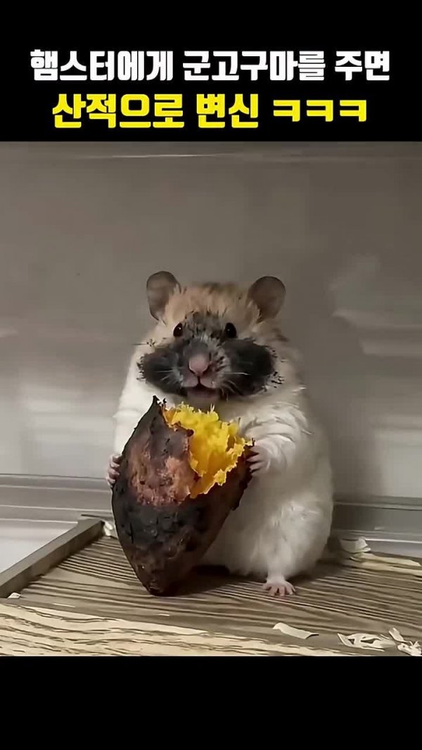 42b2c2c79c638825d632a41edf9e0a7a_1769661309_5842.jpg 42b2c2c79c638825d632a41edf9e0a7a_1769661309_5842.jpg