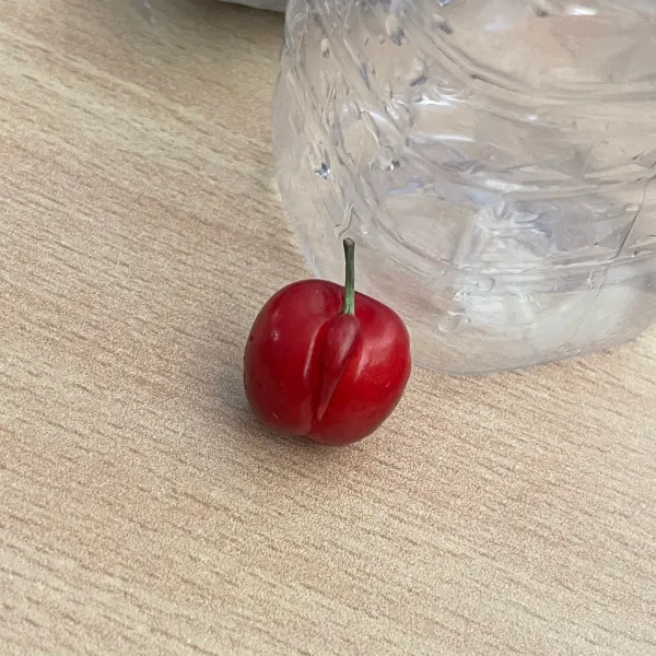 52d4bdc027c030bbf44ab89890c79c8a_1768018462_6327.webp 52d4bdc027c030bbf44ab89890c79c8a_1768018462_6327.webp