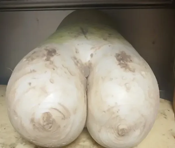 52d4bdc027c030bbf44ab89890c79c8a_1768018464_0615.webp 52d4bdc027c030bbf44ab89890c79c8a_1768018464_0615.webp