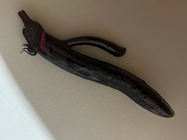 52d4bdc027c030bbf44ab89890c79c8a_1768018464_9598.webp 52d4bdc027c030bbf44ab89890c79c8a_1768018464_9598.webp