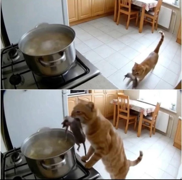 be3397ed802e9e9074fc370f58104c11_1767416680_0047.jpg be3397ed802e9e9074fc370f58104c11_1767416680_0047.jpg