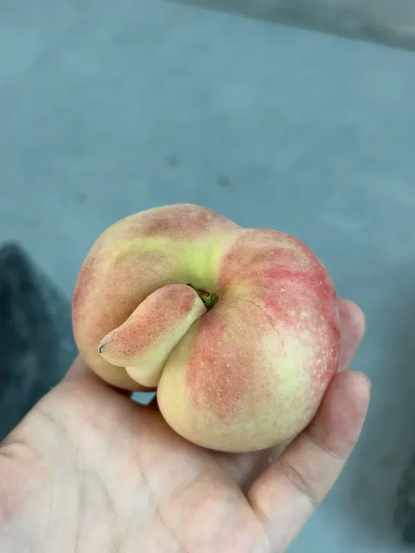 fd04b1022b61aab1299985d3f1b717b9_1768018460_5033.webp fd04b1022b61aab1299985d3f1b717b9_1768018460_5033.webp