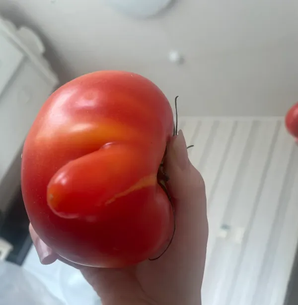 fd04b1022b61aab1299985d3f1b717b9_1768018461_0274.webp fd04b1022b61aab1299985d3f1b717b9_1768018461_0274.webp