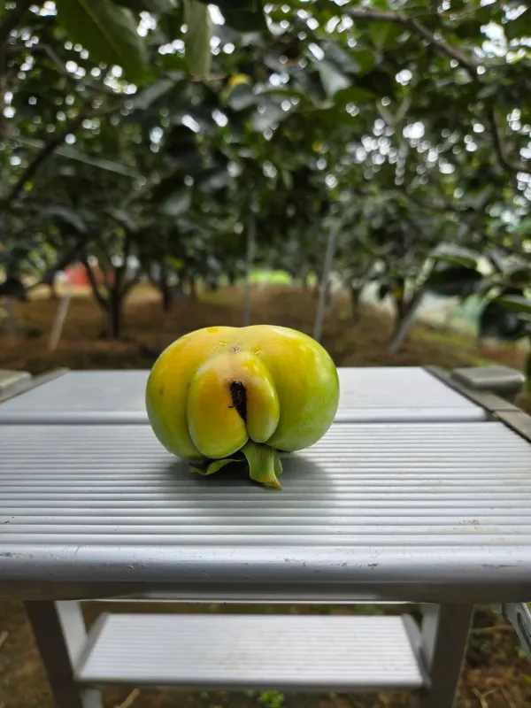 fd04b1022b61aab1299985d3f1b717b9_1768018463_6736.webp fd04b1022b61aab1299985d3f1b717b9_1768018463_6736.webp