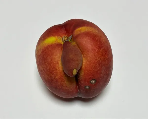 fd04b1022b61aab1299985d3f1b717b9_1768018464_4264.webp fd04b1022b61aab1299985d3f1b717b9_1768018464_4264.webp