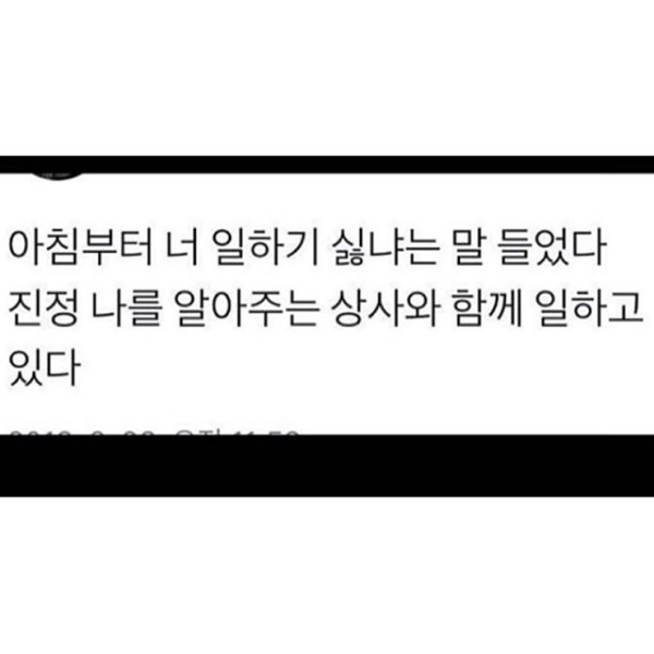 1803dd789597d58ae04ca879e0153460_1771307910_9857.jpg 1803dd789597d58ae04ca879e0153460_1771307910_9857.jpg