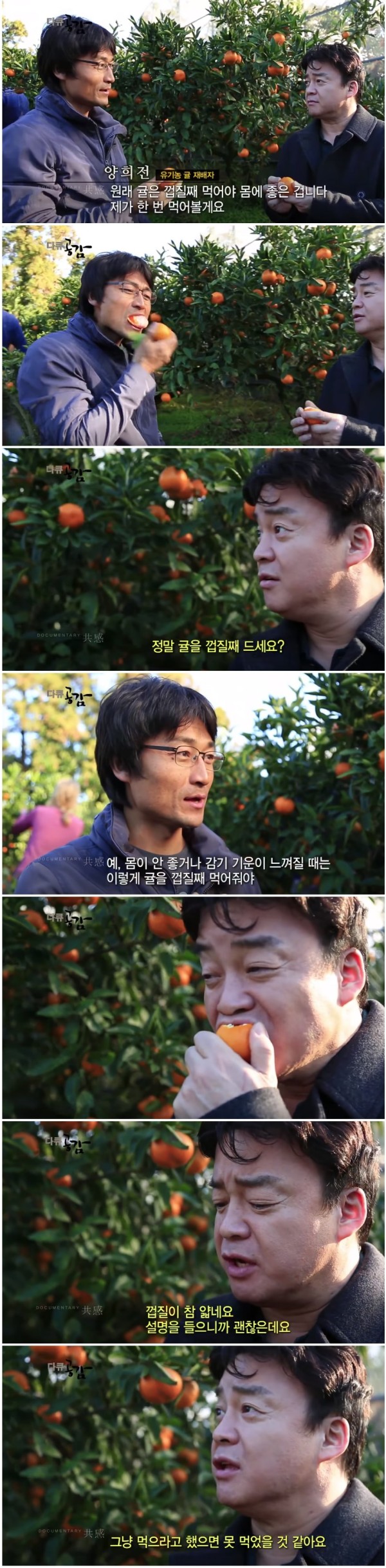 62bf1445456c9a2a3dbab40aabe84656_1771306725_4683.jpg 62bf1445456c9a2a3dbab40aabe84656_1771306725_4683.jpg