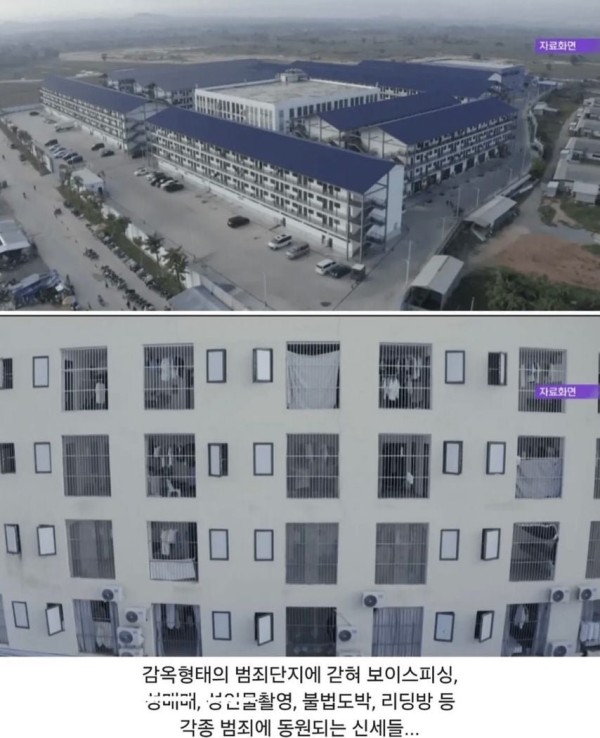 67202dc135fde5155ee354c41ffca4dc_1769923566_7477.jpg 67202dc135fde5155ee354c41ffca4dc_1769923566_7477.jpg