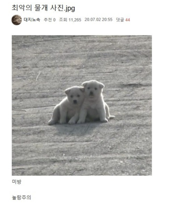 ad8f924385265231cb9469ba57448e28_1771830108_4104.png ad8f924385265231cb9469ba57448e28_1771830108_4104.png