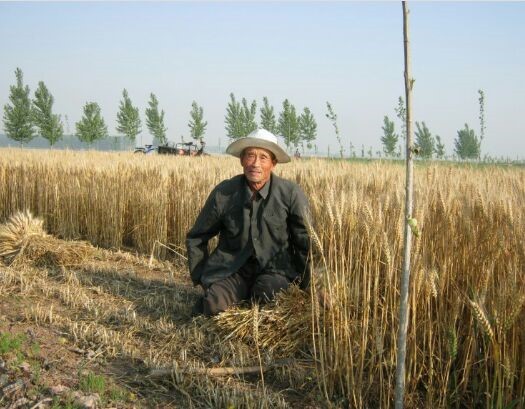 c769cbc1a0df34ac03102bc44a17a841_1771753656_4789.jpg c769cbc1a0df34ac03102bc44a17a841_1771753656_4789.jpg