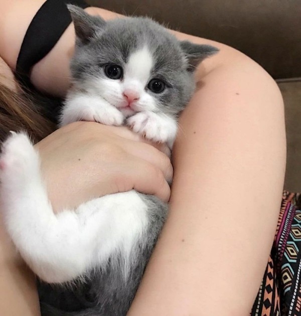 19751ae1ba27a05a0e16396347bd33ba_1774936554_0548.jpg 19751ae1ba27a05a0e16396347bd33ba_1774936554_0548.jpg