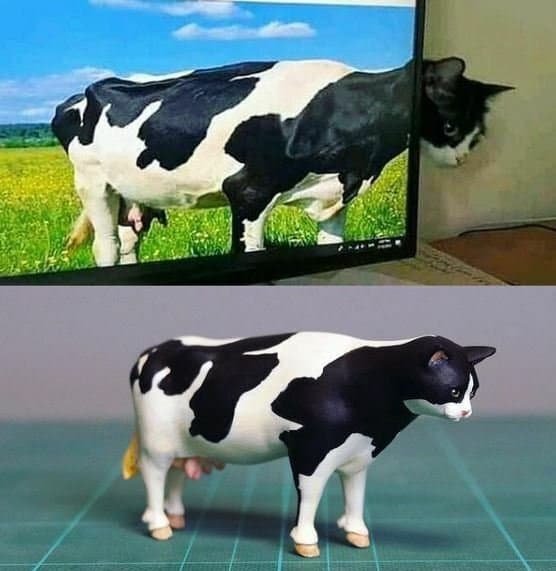 1fd84fe5267942ba543ac4bbd42310b5_1774677316_5719.jpg 1fd84fe5267942ba543ac4bbd42310b5_1774677316_5719.jpg