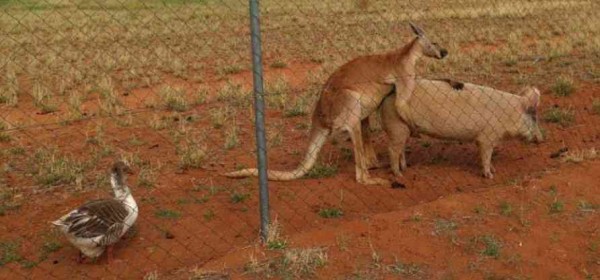 2a04d27724862adc045c77aec1bb31e5_1774676209_0501.jpg 2a04d27724862adc045c77aec1bb31e5_1774676209_0501.jpg