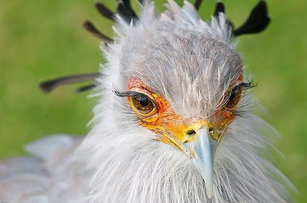 2b699411a942dec2a0a3b0eaa5d1eb7f_1772608584_404.jpg 2b699411a942dec2a0a3b0eaa5d1eb7f_1772608584_404.jpg