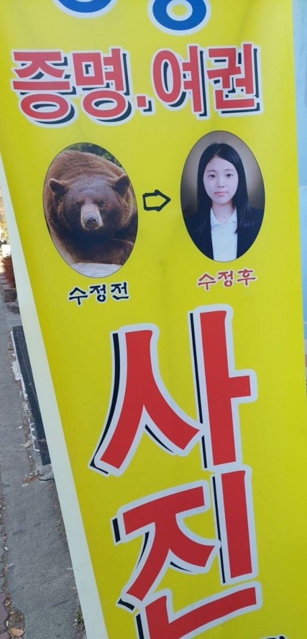 41e6415d386eeabc76569862df2cc843_1773535348_4449.jpg 41e6415d386eeabc76569862df2cc843_1773535348_4449.jpg