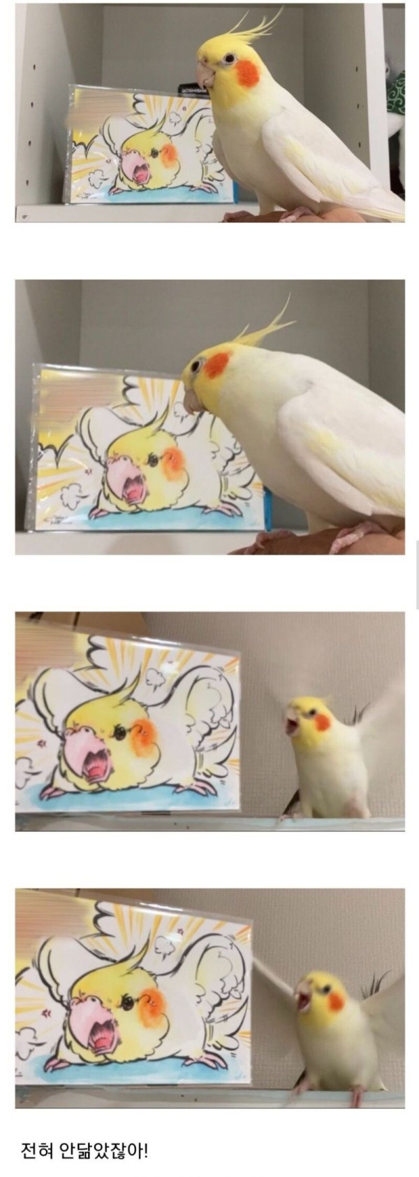 536e36385cb9b35edee510940303760e_1774579154_7227.jpg 536e36385cb9b35edee510940303760e_1774579154_7227.jpg