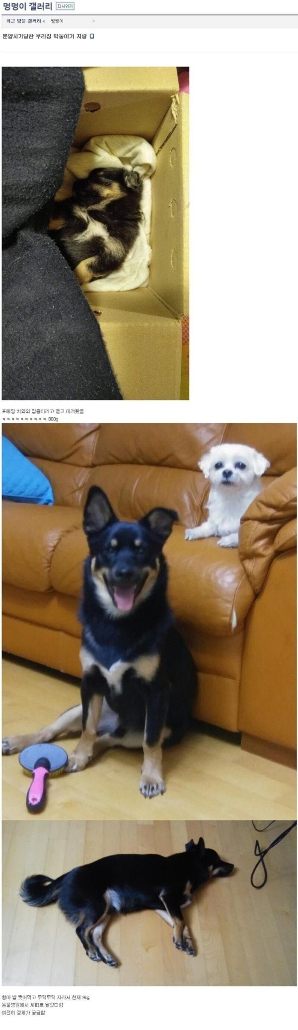 648a029ee055dffc9c161ee4cd5f0c4f_1774677086_285.jpg 648a029ee055dffc9c161ee4cd5f0c4f_1774677086_285.jpg