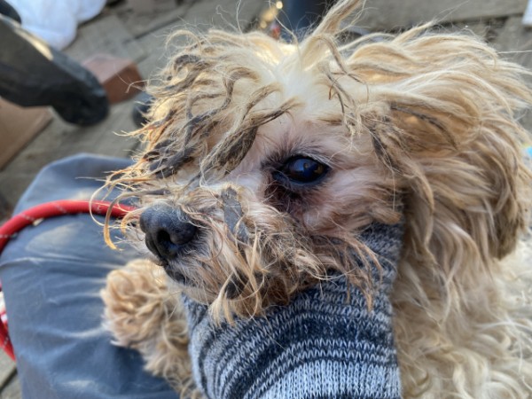 90ada9a7f94f5db5a3220ff2570d73a0_1774848495_2421.jpg 90ada9a7f94f5db5a3220ff2570d73a0_1774848495_2421.jpg