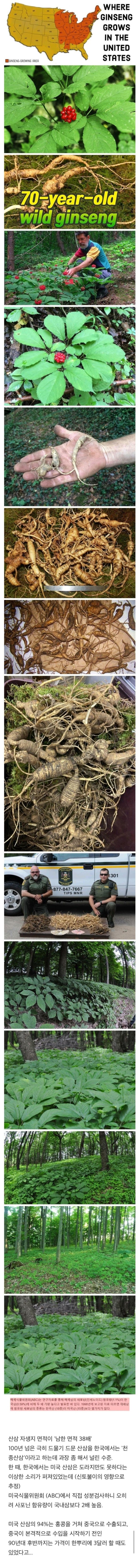 90ada9a7f94f5db5a3220ff2570d73a0_1774849167_451.jpg 90ada9a7f94f5db5a3220ff2570d73a0_1774849167_451.jpg