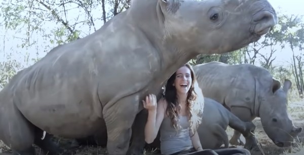 49412c9cc0fb06060ffa70647e6d2114_1775549170_4325.jpg 49412c9cc0fb06060ffa70647e6d2114_1775549170_4325.jpg