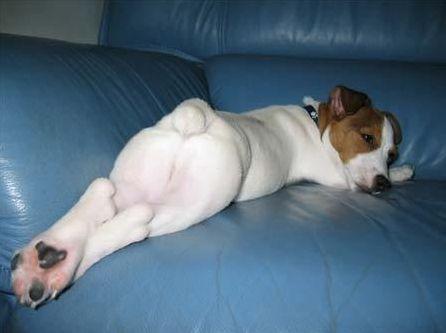 75574699a6ea4a12b162d77421fe2432_1775376830_5635.jpg 75574699a6ea4a12b162d77421fe2432_1775376830_5635.jpg