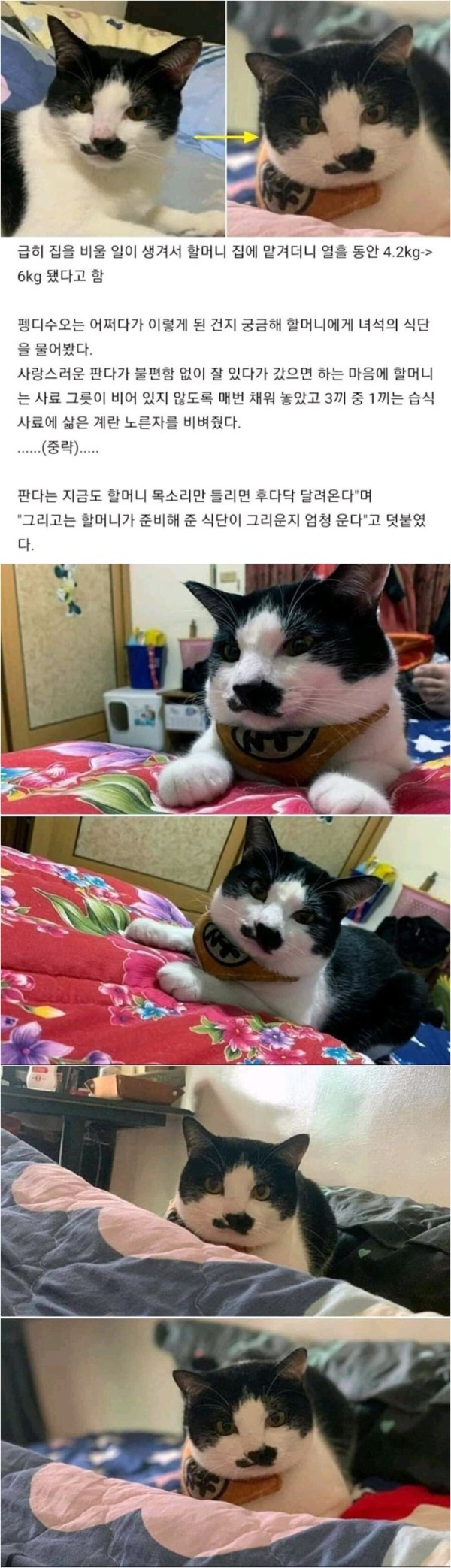 75574699a6ea4a12b162d77421fe2432_1775377082_3324.jpg 75574699a6ea4a12b162d77421fe2432_1775377082_3324.jpg