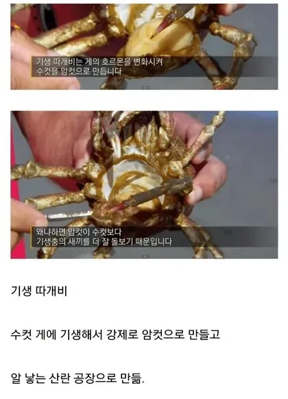 d18e4579902b85e73620abb96942c1e4_1776063612_4047.webp d18e4579902b85e73620abb96942c1e4_1776063612_4047.webp