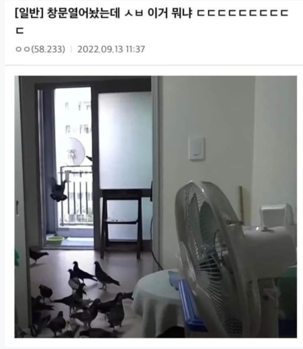 94e5fc4ee8ab51ef06dbdcbd5d8c4d9f_1747036988_7519.JPG