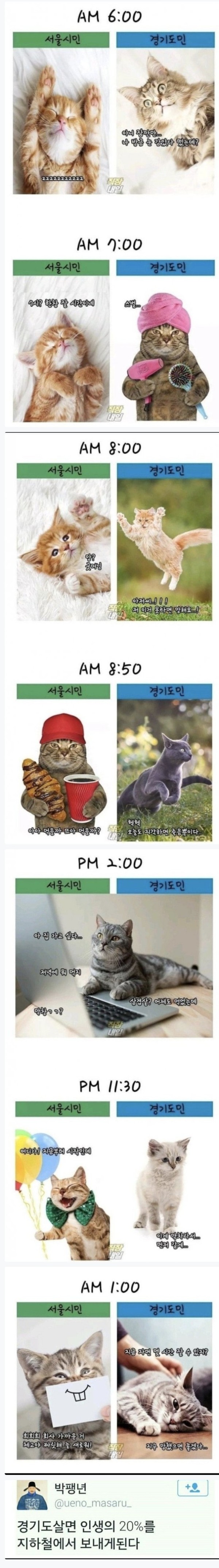 bb4b8e7df4747884d4cd3a25bea4a269_1754649100_5202.JPG