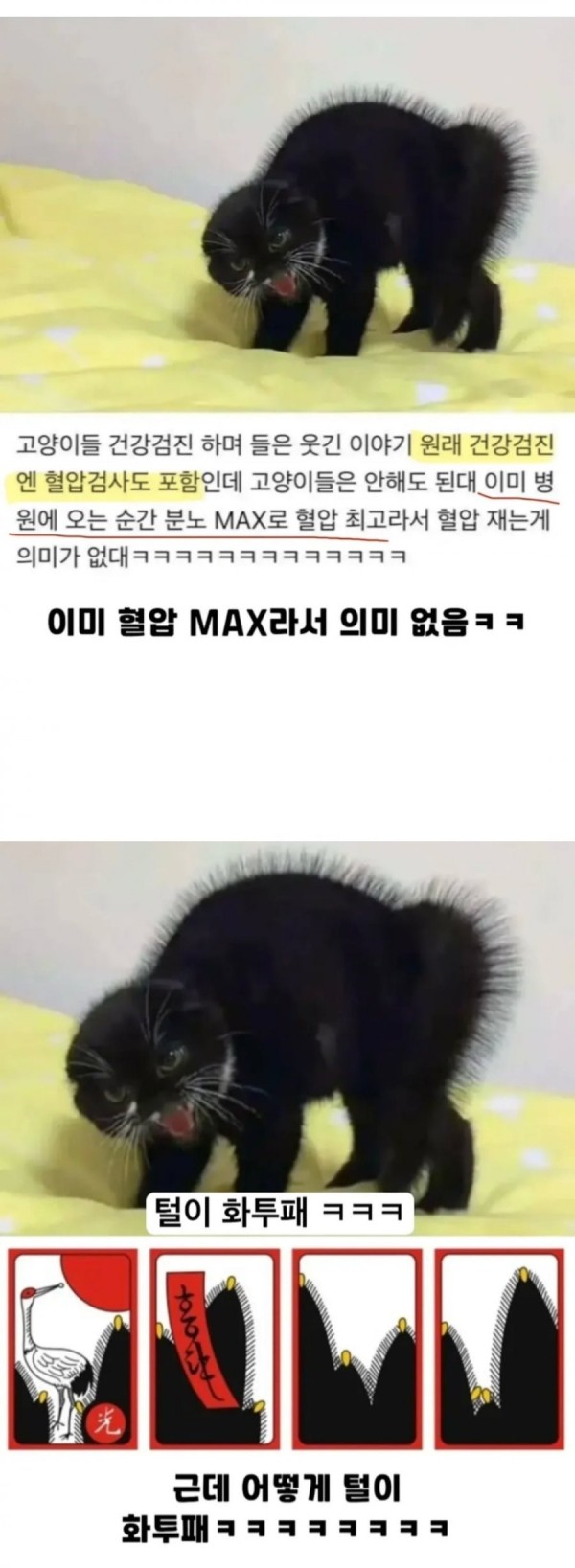 7b560f83e91ff09250b6364469e553a0_1763188468_8596.jpg 7b560f83e91ff09250b6364469e553a0_1763188468_8596.jpg