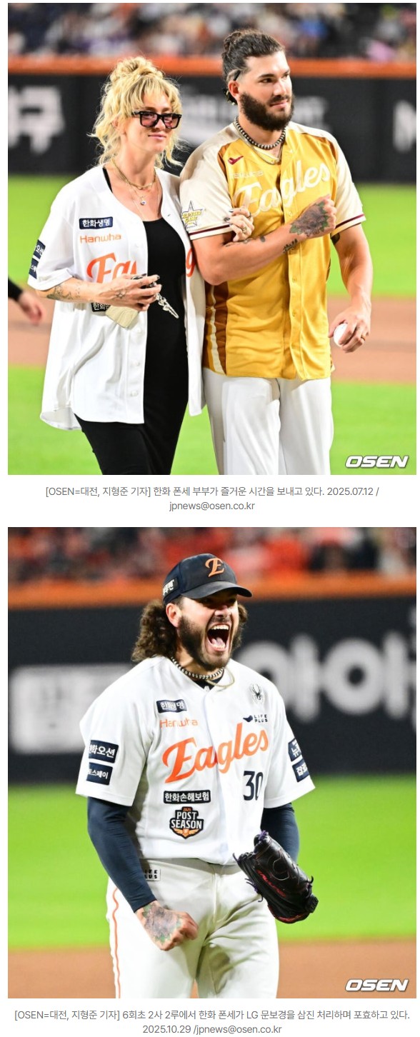 "한국서 출산, 후회 없다" ML 복귀 유력한데…아직도 대전 떠나지 않은 폰세, 왜 부산에 내려가나