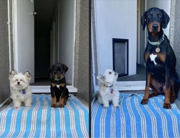 a158bd52347e4ce9198098d4d66ad143_1764218278_9492.jpg a158bd52347e4ce9198098d4d66ad143_1764218278_9492.jpg