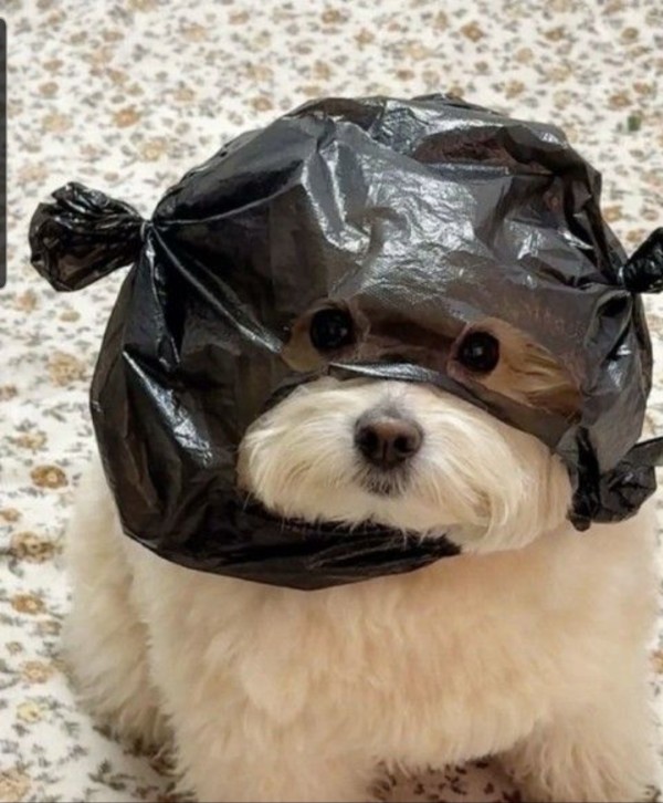 b50cd0e5180a6c076c2163c0ab4f52ac_1764823979_6477.jpg b50cd0e5180a6c076c2163c0ab4f52ac_1764823979_6477.jpg