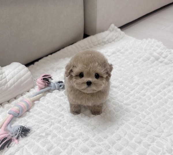 da51758ce6aa06cc410d4388bb2fd61a_1765094021_7907.jpg da51758ce6aa06cc410d4388bb2fd61a_1765094021_7907.jpg