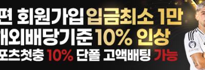 타이거