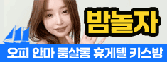 밤놀자
